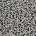 Filtres à membrane MCE - NON STERILES - QUADRILLES