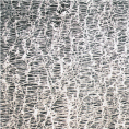 Filtres à membrane PTFE Hydrophobes avec Filet - NON STERILES - UNIS