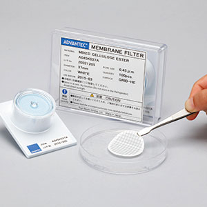 Filtres à membrane MCE - NON STERILES - QUADRILLES