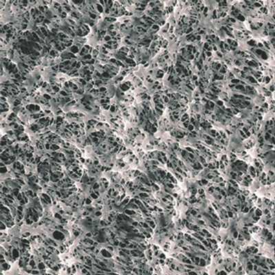 Filtres à membrane PTFE Hydrophiles - NON STERILES - UNIS