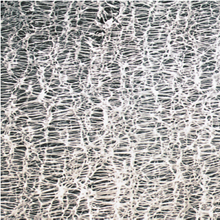 Filtres à membrane PTFE Hydrophobes avec Filet - NON STERILES - UNIS