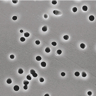 Filtres à membrane Polycarbonate - NON STERILES - UNIS